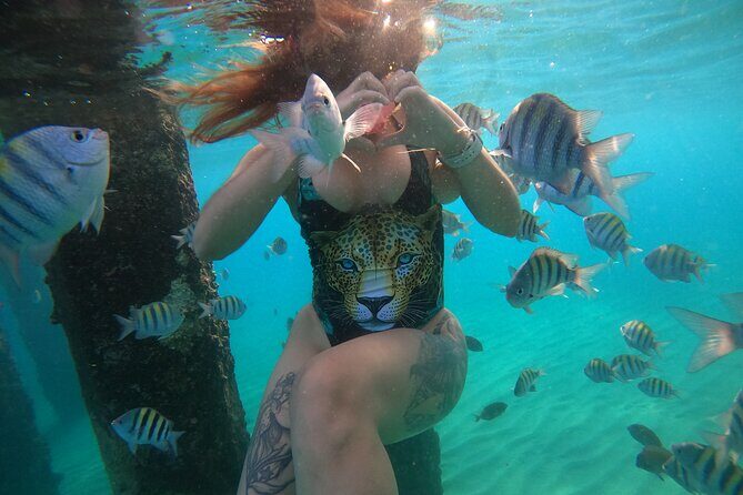 VIP San Juan: Snorkeling Tour with Turtles with Free Videos - The Sum Up