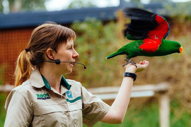 VIP Sanctuary Tour at Healesville Sanctuary - excl. entry - Final Thoughts: Is This Tour Worth It?