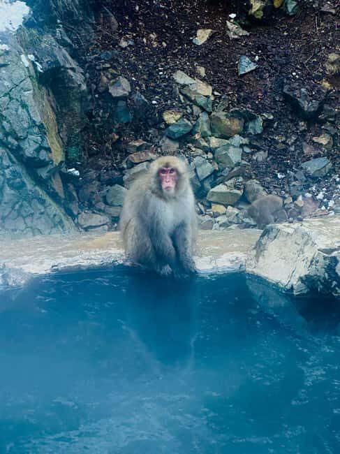 VIP Snow Monkey Park & Zenkoji Temple One Day Private Tour - Pricing and Value