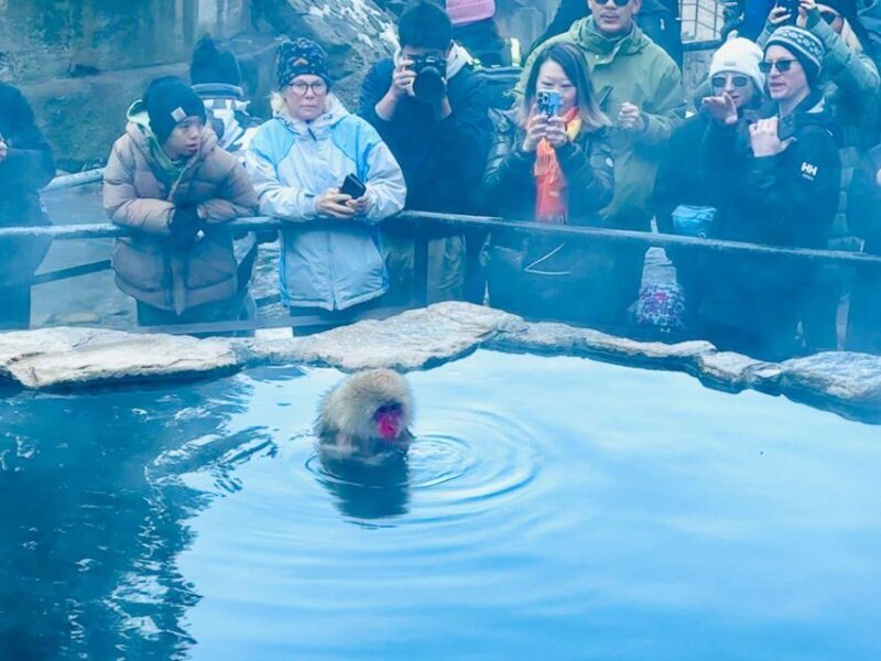 VIP Snow Monkey Park & Zenkoji Temple One Day Private Tour - Final Thoughts