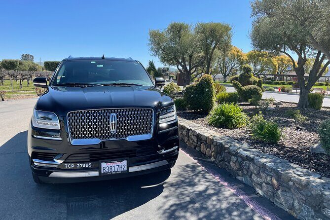 VIP SUV-LUX Wine Tour for 8 hr up to 6 People - Who Should Consider This Tour?