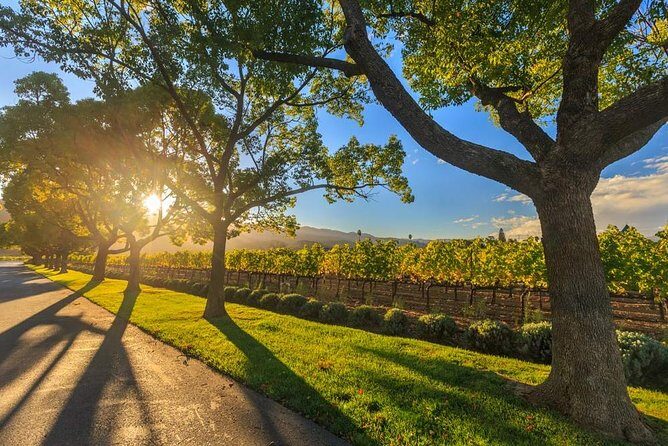 VIP Swan Valley Wine Tour - Premium Small Group Wine & Gourmet Experience - A Closer Look at the Itinerary