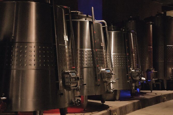 VIP Tasting - Practical Details: How It Fits Into Your Day