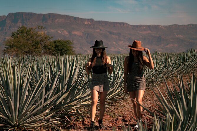 Vip Tequila Experience - Ending at Cantaritos El Güero