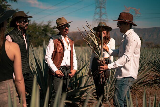 Vip Tequila Experience - What Makes This Tour Stand Out?