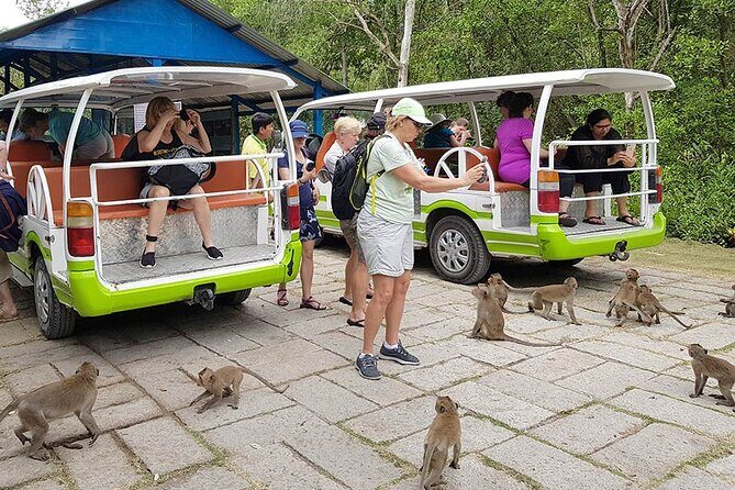VIP Tour to Can Gio Mangrove Forest by Speed Boat - An In-Depth Look at the Tour