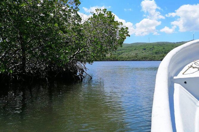 VIP tour to Paradise Island & The Mangroves - FAQs