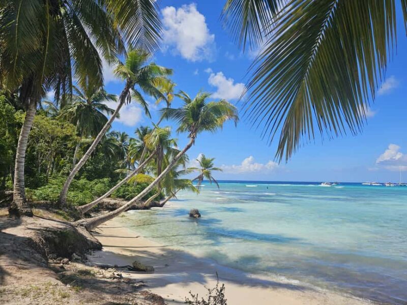 VIP tour to Saona Island by speedboat with a visit to paradise beaches - Who Will Love This Tour?