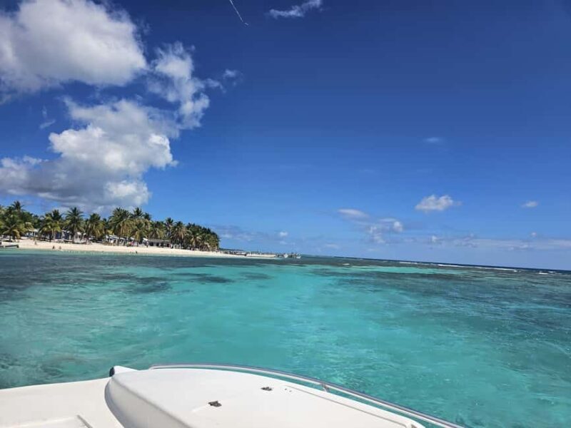 VIP tour to Saona Island by speedboat with a visit to paradise beaches - Transportation, Timing, and Group Size