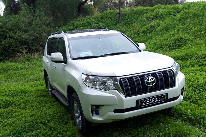 VIP transfer between Tunis Carthage Airport and a hotel in Tunis - Why Choose This VIP Transfer?