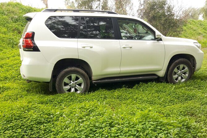 VIP transfer between Tunis Carthage Airport and a hotel in Tunis - The Value of a Private Transfer in Tunis