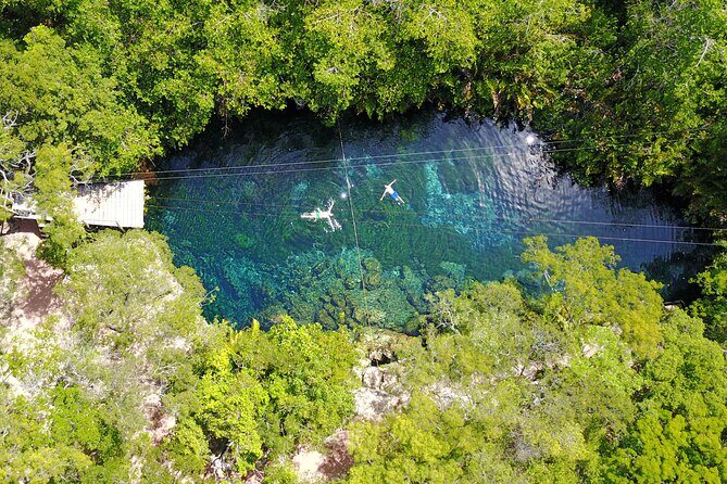 VIP Tulum & Turtles Private Tour - What the Reviews Tell Us