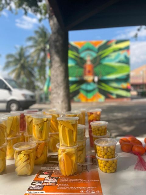 VIP Walking Tour of Little Havana - Introducing the Experience