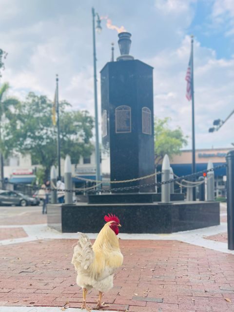VIP Walking Tour of Little Havana - Who Should Consider This Tour?