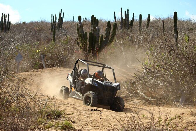 Viper Trail UTV Small-Group Experience in Cabo San Lucas - FAQs