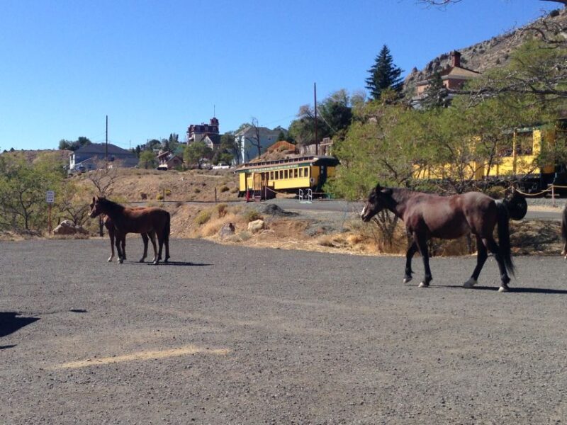 Virginia City Day Tour From Lake Tahoe with Train Ride - Key Points