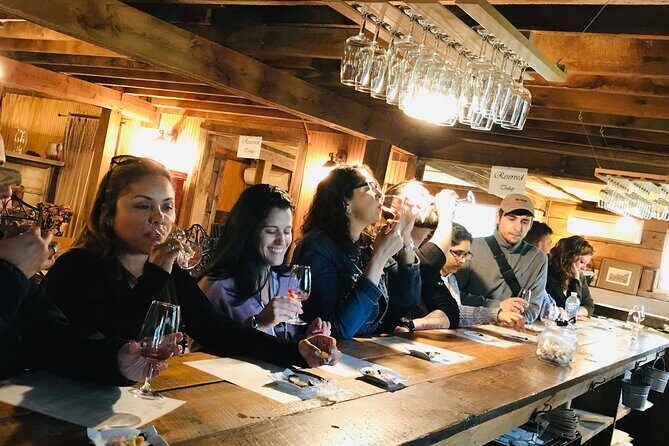 Virginia Wineries Guided Tour & Tastings from Washington DC - Who Would Appreciate This Tour?
