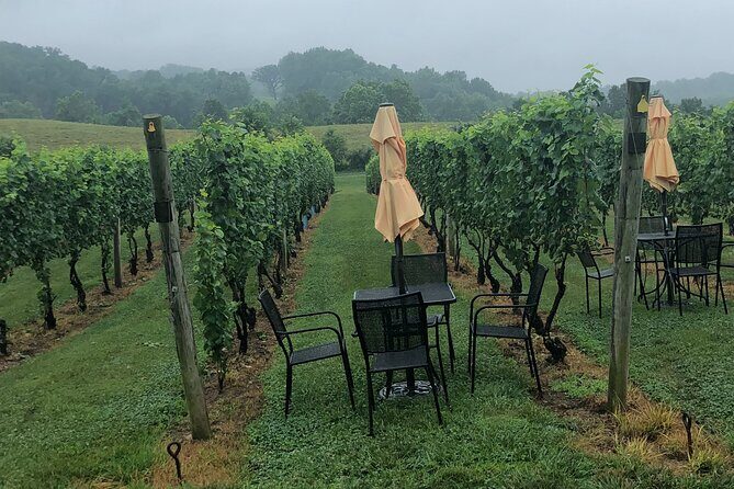 Virginia Winery Excursion By Luxury Vehicle 2-Wineries - An Honest Look at the Virginia Winery Excursion by Luxury Vehicle