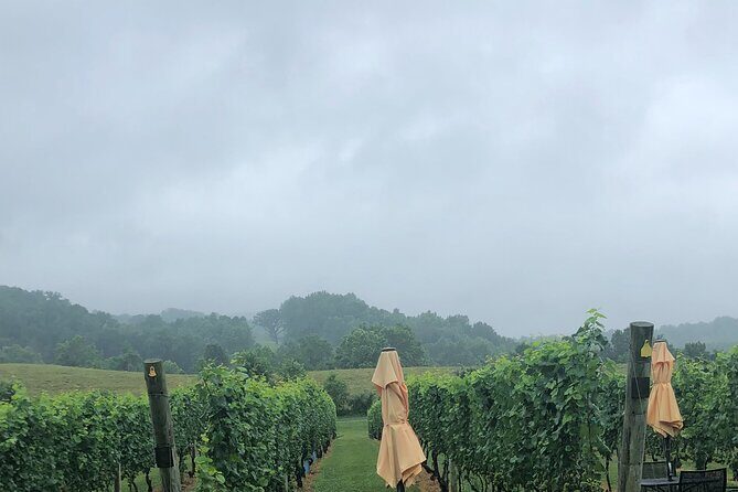 Virginia Winery Excursion by Luxury Vehicle Three wineries - An Introduction to the Experience