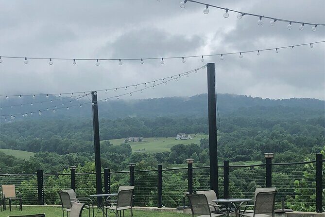 Virginia Winery Excursion by Luxury Vehicle Three wineries - What You’ll Love About This Tour