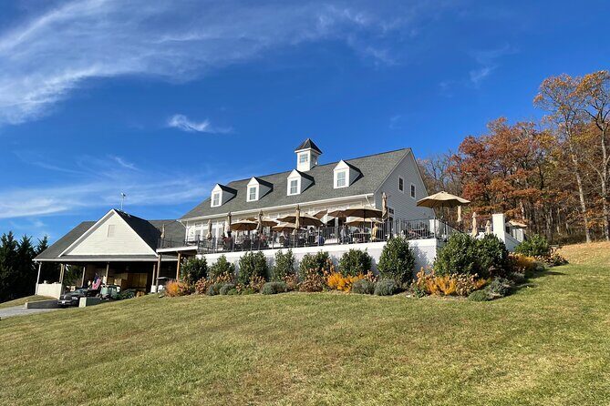 Virginia Winery Excursion by Luxury Vehicle Three wineries - Who Will Appreciate This Tour?