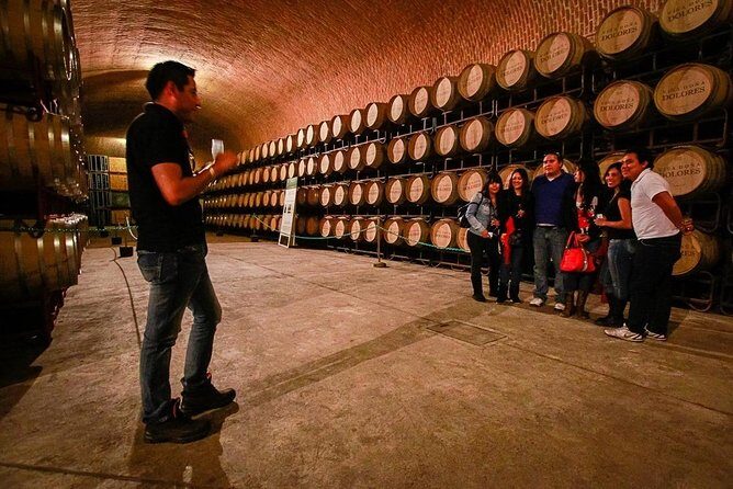 Visit 1 Cheese Factory and 2 Vineyards, starting from Querétaro - Who Will Enjoy This Tour?