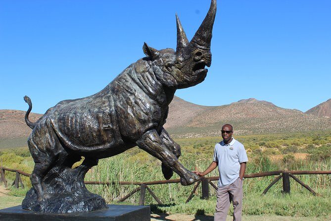 Visit African Big 5 Safari Aquila Game Reserve from Cape Town - full Day - The Authentic Experience and Its Drawbacks