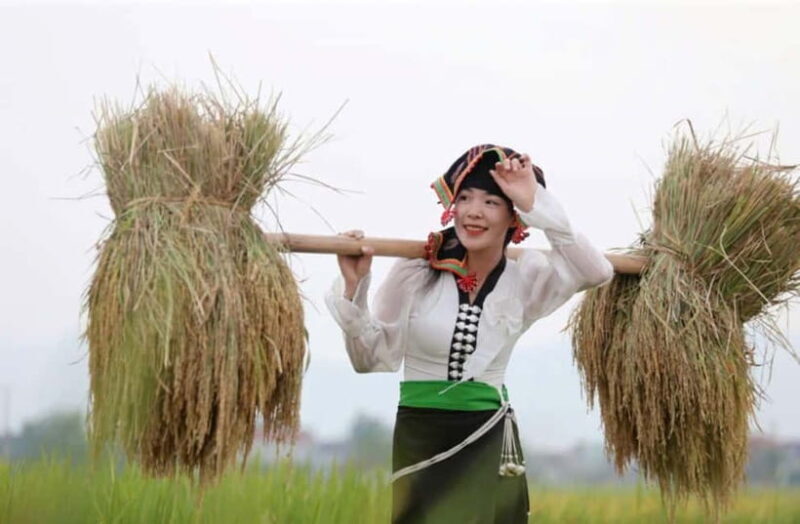Visit all place in Dien Bien Phu 1 day - Private tour by car - An In-Depth Look at the Dien Bien Phu Private Day Tour