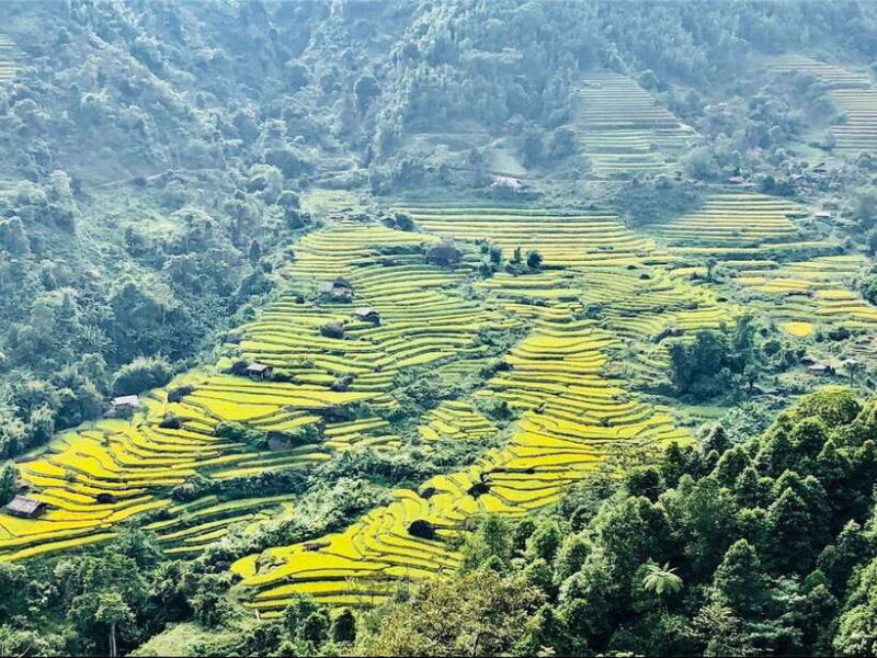 Visit all place in Sa Pa with easy riders - What Reviewers Say