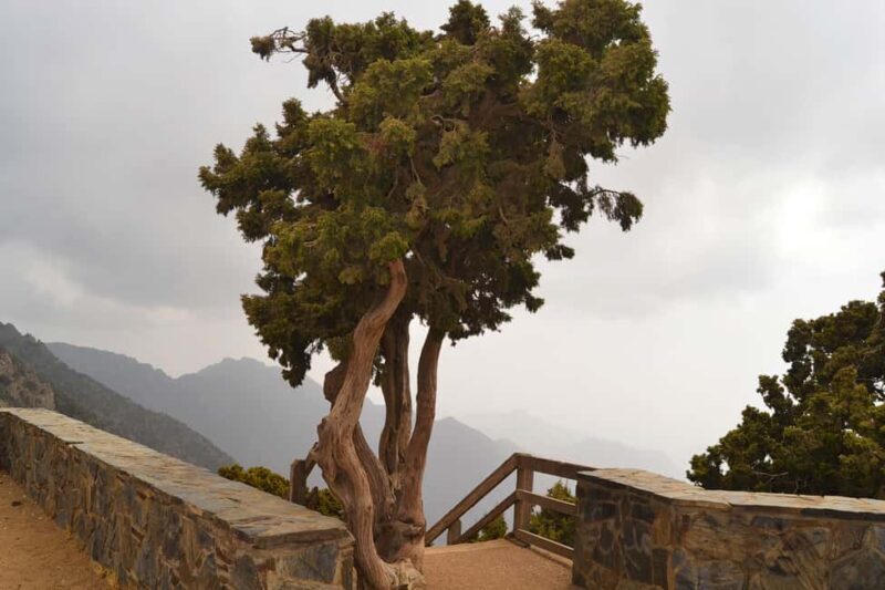 Visit Ancient Village of Rijal Almaa - FAQ