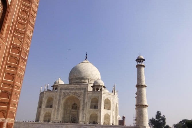 Visit Bear Rescue Center From Agra - Final Thoughts