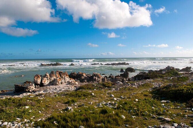 Visit Cape Agulhas Where The Two Oceans Meet F/D From Cape Town - Key Points
