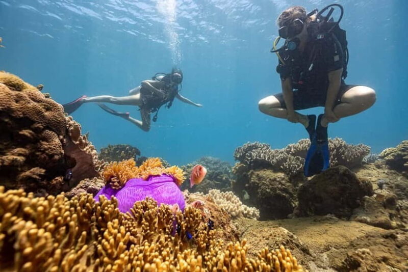Visit Cham Islands & Snorkelling & Scuba Diving - Who Should Consider This Tour?