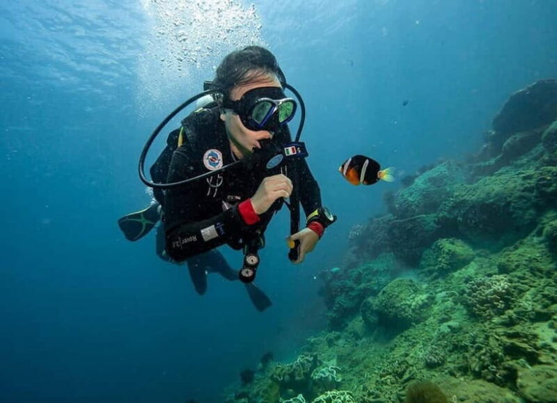 Visit Cham Islands & Snorkelling & Scuba Diving - Final Thoughts