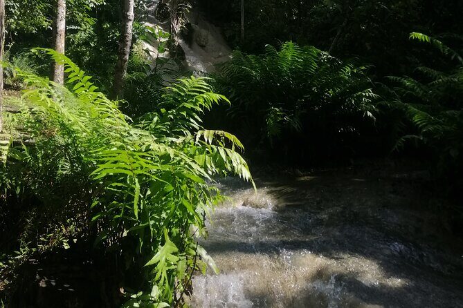 Visit Dantewada(Angel Land), Blue Temple, and Sticky Waterfall - Real Traveler Insights and Experiences