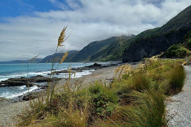 Visit Kaikura from Christchurch (small group Tour) - The Route and What to Expect from Start to Finish