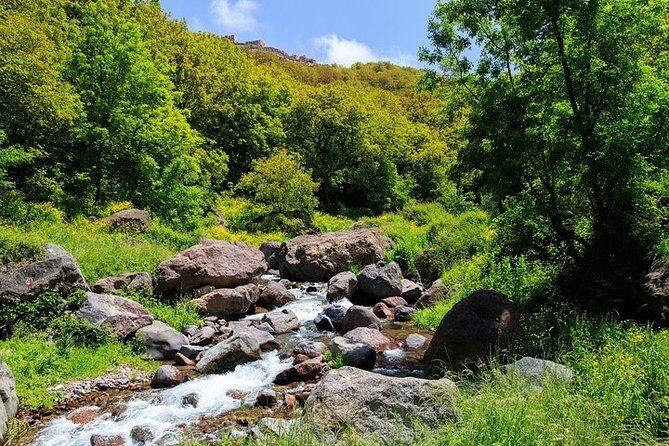 Visit Magical Anima Garden and Imlil Valley Guided Day Trip From Marrakech - Final Stops: Souvenirs and Wrap-up
