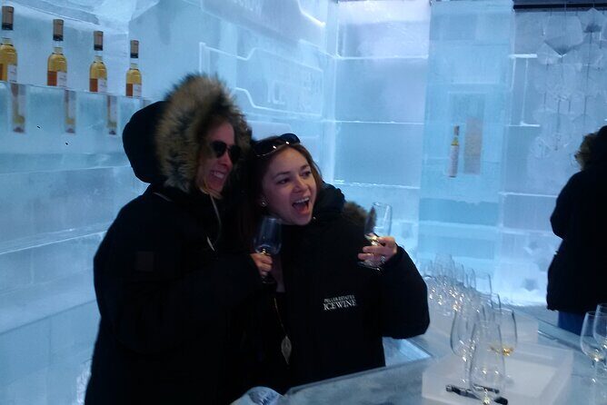 Visit Niagara Falls and experience a VIP Wine Tour - The Itinerary: What to Expect at Each Stop