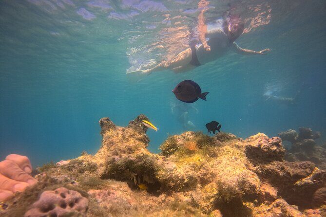 Visit Secret beaches and enjoy private guided Snorkel tour - What’s Included and What’s Not