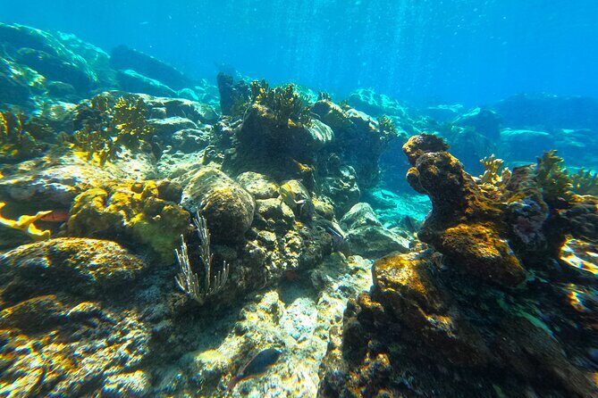 Visit Secret beaches and enjoy private guided Snorkel tour - The Experience: What Travelers Say