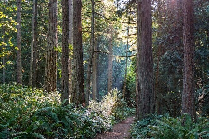 Visit Snoqualmie and Hike to Twin Falls (Transportation included) - Who Should Consider This Tour?