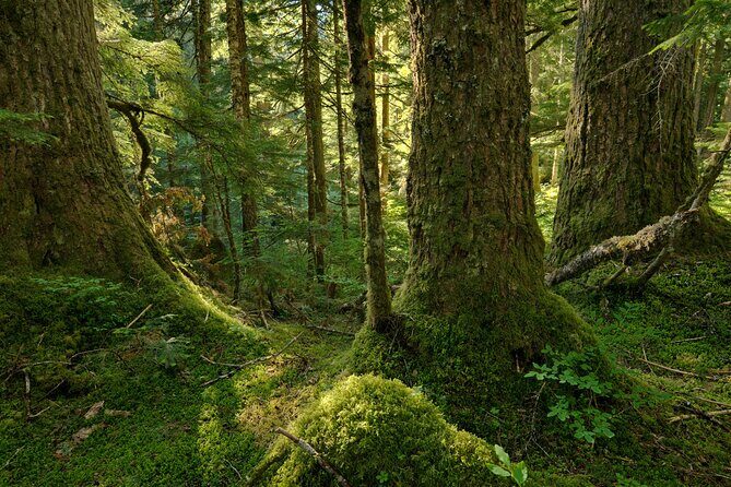 Visit Snoqualmie and Hike to Twin Falls (Transportation included) - The Sum Up: Is This Tour Right for You?