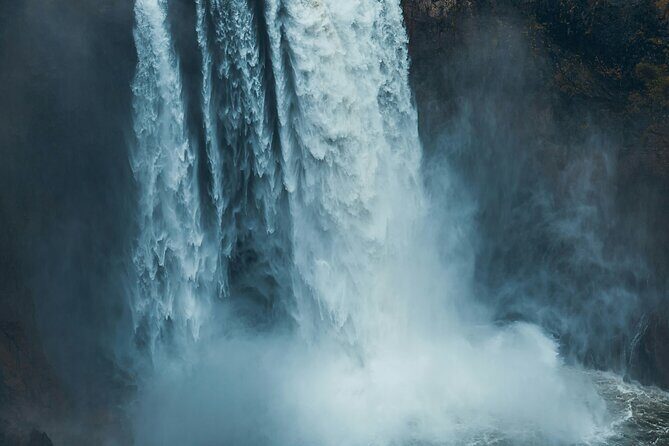 Visit Snoqualmie waterfall and an old Forest (Transport Included) - What to Bring