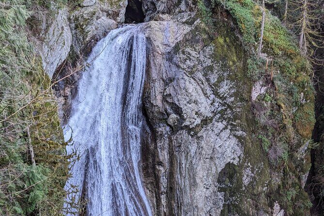 Visit Snoqualmie waterfall and an old Forest (Transport Included) - Frequently Asked Questions