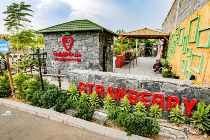 Visit Taif The City of Roses - Frequently Asked Questions