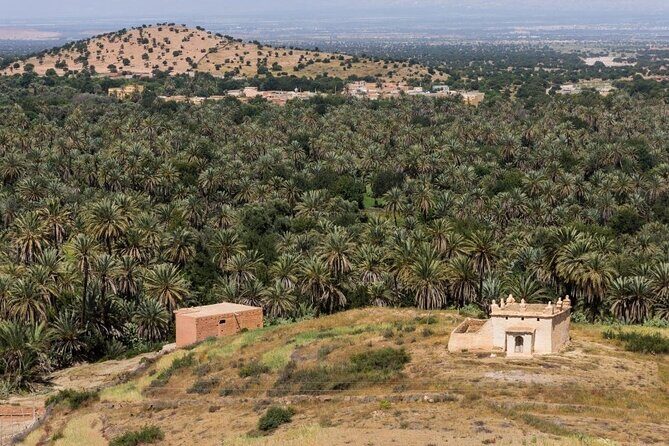 Visit Taroudant and Tiout 1 day From Agadir - Who Should Book This Tour?