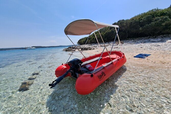 Visit the Cousteau Reserve By Boat Without a License - Exploring the Tour: What to Expect