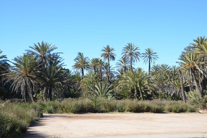 Visit the Oasis & Tea at the basket maker. - A Deep Dive into the Oasis & Tea Tour
