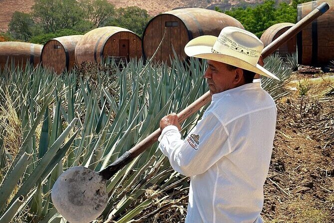 Visit to Tequila and Horseback Riding Among the Agave Landscape - Introduction: What to Expect from This Tour