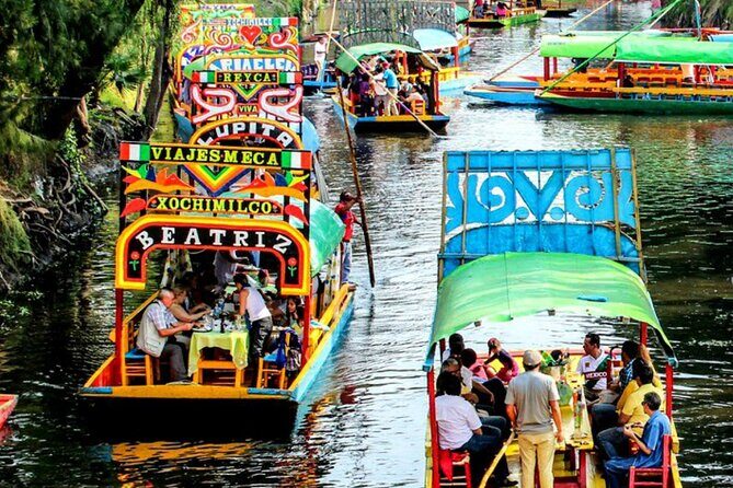 Visit to Xochimilco, Coyoacán and Ciudad Universitaria - Authentic Experiences and Real Traveler Insights